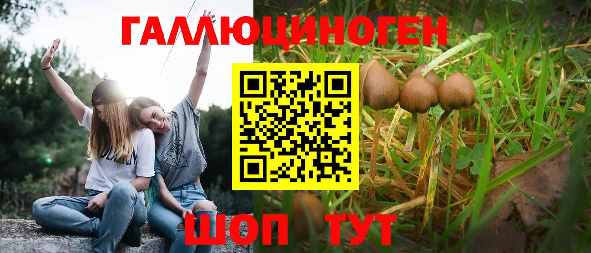 Череповец  Галлюциногенные грибы прущие грибы  Вход с VPN 